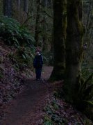 Silver Falls 12.10.05 063 